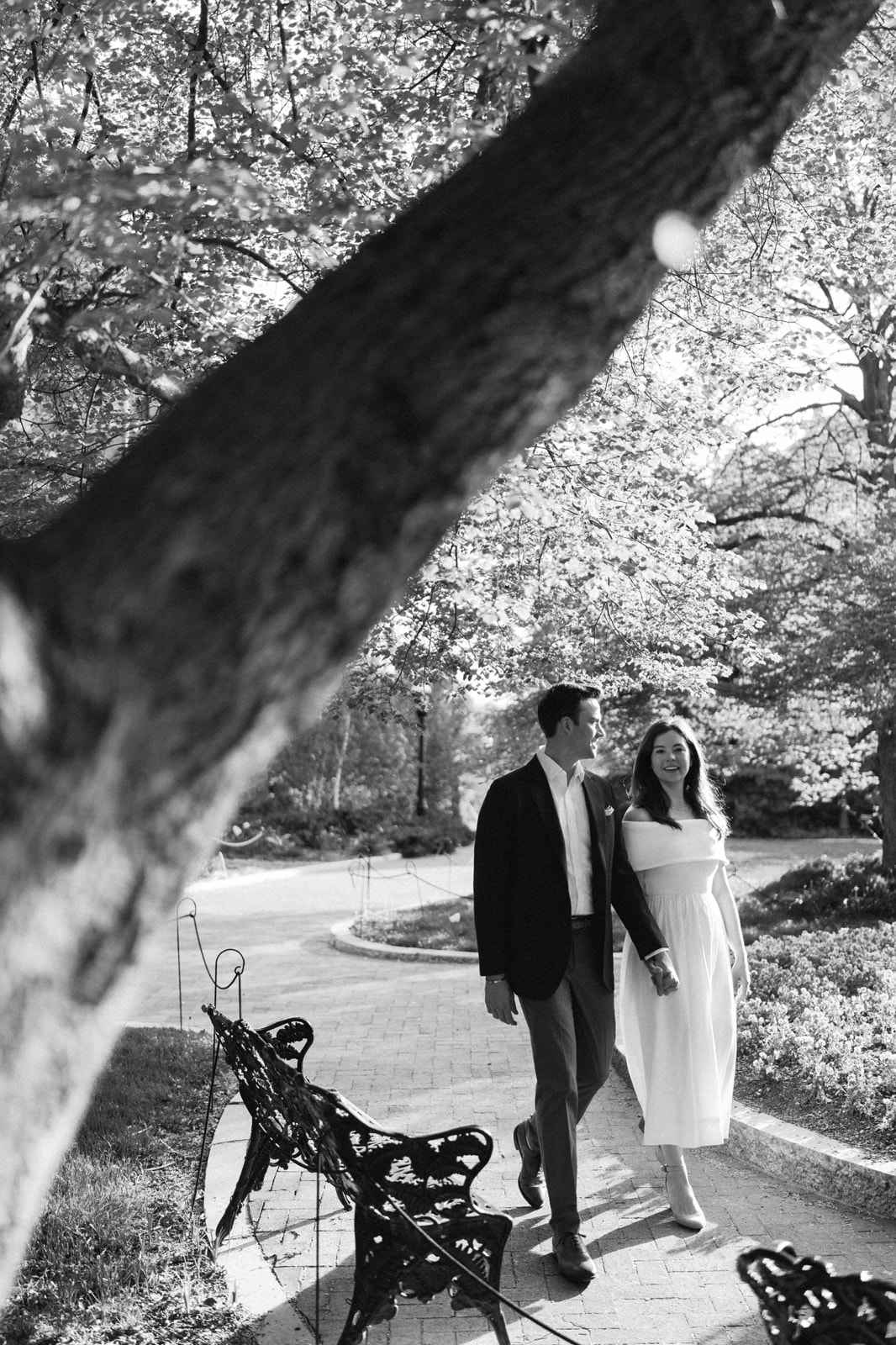 Wide sunrise photo of a couple under tall trees at the Enid A. Haupt Garden in Washington DC