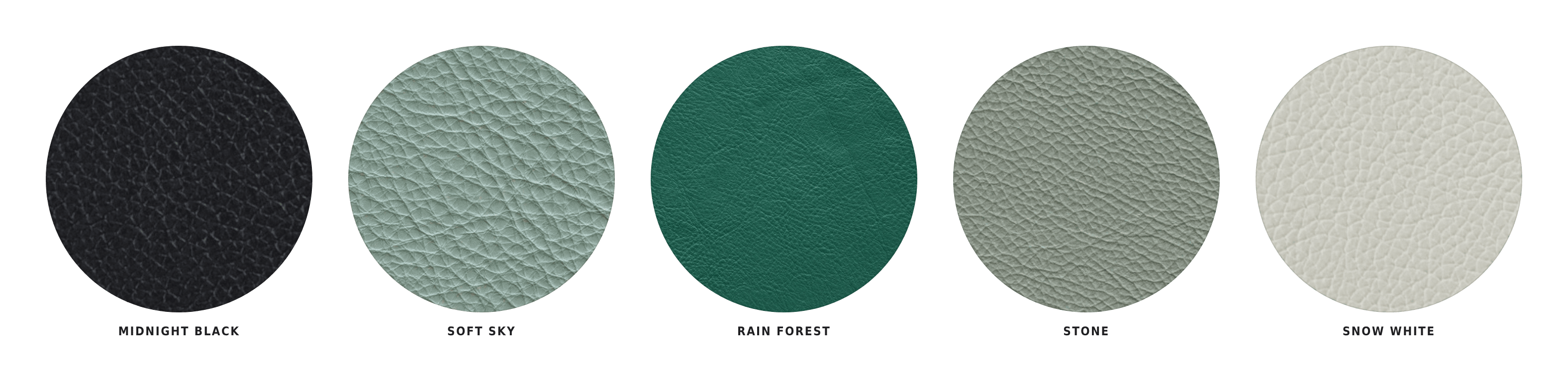 Premium Leather swatches